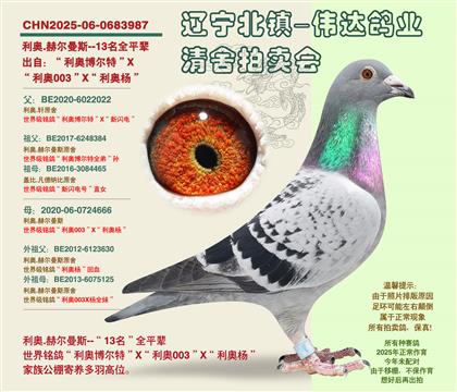 ����-���귢13����ȫƽ��