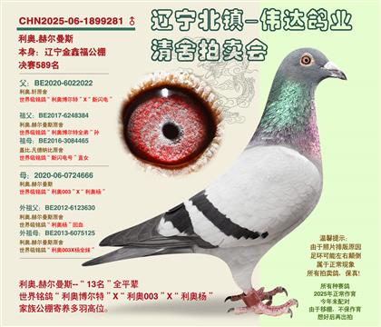 ����-���귢13����ȫƽ��