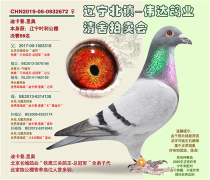 �Ͽ���.���-������98����