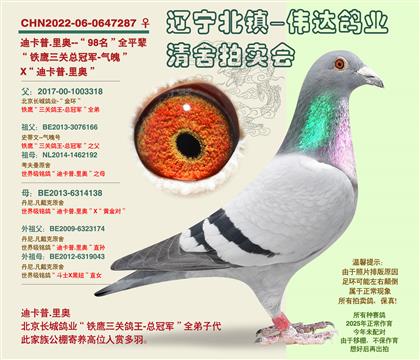 �Ͽ���.���-��98����ƽ��