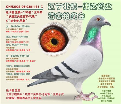 �Ͽ���.���-��98����ƽ��