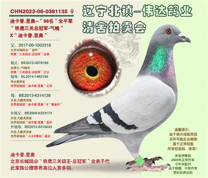 �Ͽ���.���-��98����ƽ��