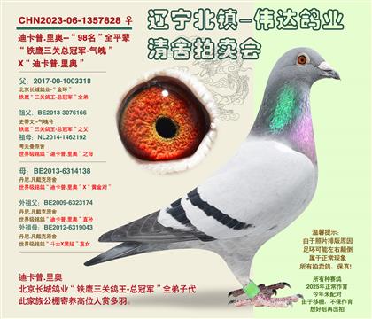 �Ͽ���.���-��98����ƽ��