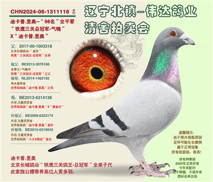 �Ͽ���.���-��98����ƽ��