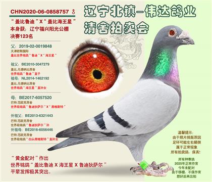 �Ǳȵ�����-������123����