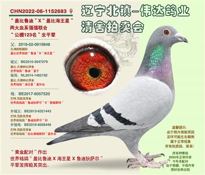 �Ǳȵ�����-��123����ȫƽ��