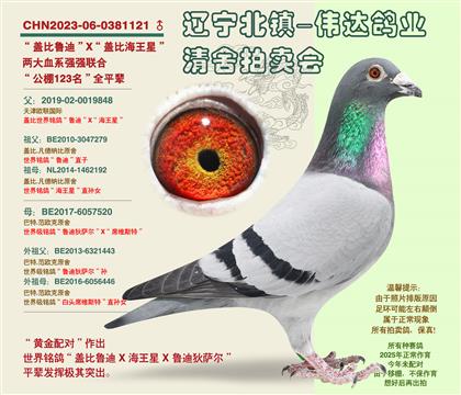 �Ǳȵ�����-��123����ȫƽ��