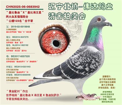 �Ǳȵ�����-��123����ȫƽ��