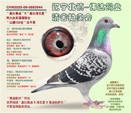 �Ǳȵ�����-��123����ȫƽ��