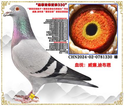 ���ص��Ƽ�������.�ϲ�����ī�ƶ���ֱ�ӡ�ī�ƶ���ȫ�ֵ�ֱŮ��