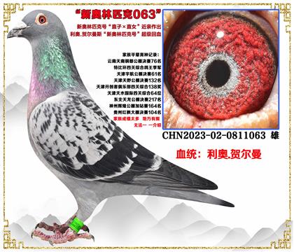 ���ص��Ƽ�������.�ض���/�°���ƥ�˺š�ֱ��XֱŮ�����׻�Ѫ