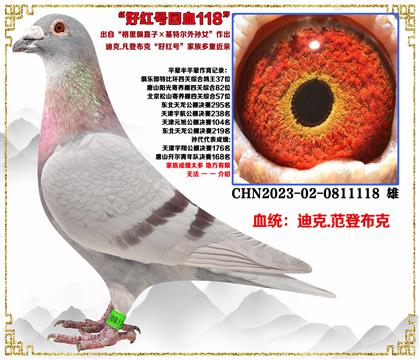 ���ص��Ƽ����Ϸ��ǲ��ˡ�������ֱ��X���ض�����Ů���ú�Ż�Ѫ