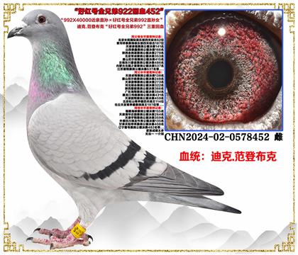 ���ǲ��ˡ��ұȶ�ȫ�ֵ�ֱ�ӡ��ú��ȫ�ֵ�992ֱ��Ů��