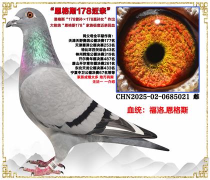 ����.����˹��178�����178ֱ��Ů�����ؽ��׻�Ѫ