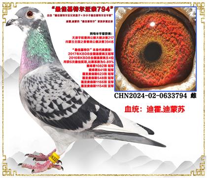 �ϻ�.�����ա���ѻ��ض�ȫ�ֵ�ֱ�ӡ���С����ѻ��ض�ȫƽ����