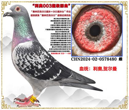 ���¡�����ƥ��003ֱ���003ֱ��Ů����������