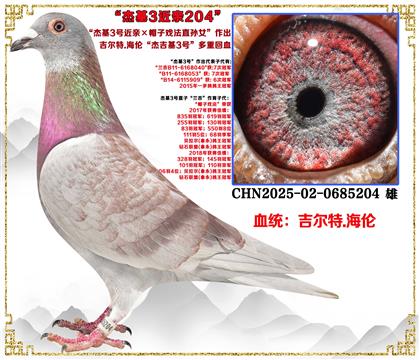 ������.���ס��ܻ�3�Ž��ס�ñ��Ϸ��ֱ��Ů��