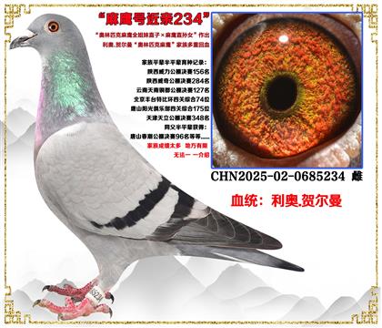 ���¡�����ƥ����ӥȫ����ֱ��X��ӥֱ��Ů����������