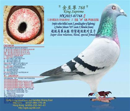 �����ذ׸�����X���������Ů��X��ղɭ��019�����HX ����