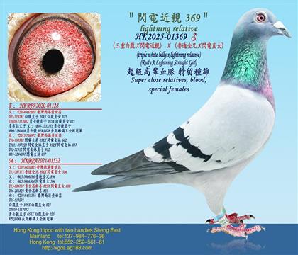 �����ذ׸�X�W늽��H��X������ȫ��X�W�ֱŮ��