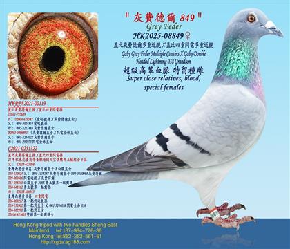 �ǱȻ��M� ����ؽ��HX�Ǳ������W늶��ؽ��H