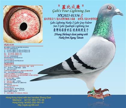 �w���W�ֱ��X�w�Ȼ��M�à��OX�������ϲ���X�w�������W늌O