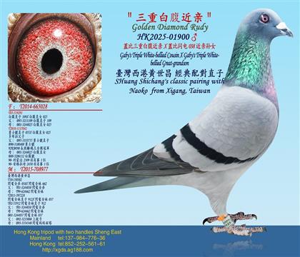 �w�����ذ׸�����X�w������038������Ů