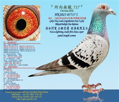 ���Ͽˡ������������޵�675X�w���W�̖���ؽ��H