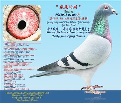 ��/��Ŭ��������/�������ϲ���X�w���W�X�w�Ȼ��M�à�