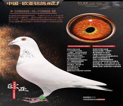 ��˹���ڰ�ѩ����683X209