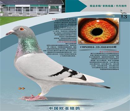 2+24-10-0424310�� ����_��ͼ��