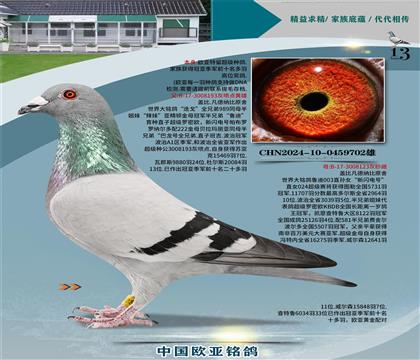 3+24-10-0459702�� ����