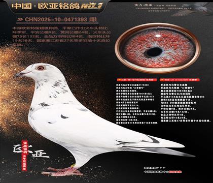 ��˹���ڰ�ѩ����683X209