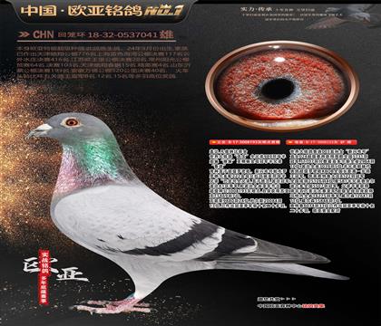 ŷ��9-13-0537041