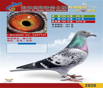 һ��Ԫ������