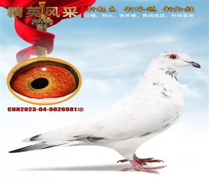 ���ǿ����ˡ�³��