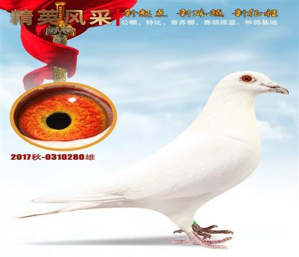 �߼�ʵս�ס�ʮ��ĥһ��