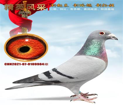 ��ĸ���Ǹ�ҵ����