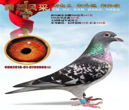 ���������ھ���Ա