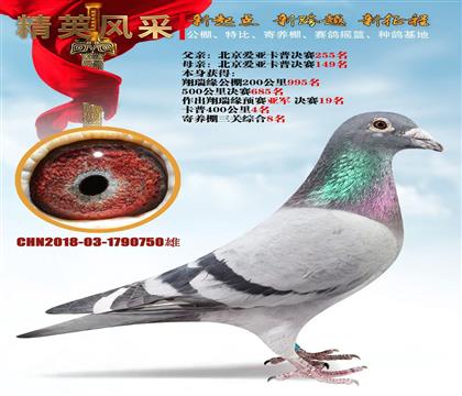 �������ǿ��ո���ֱ��