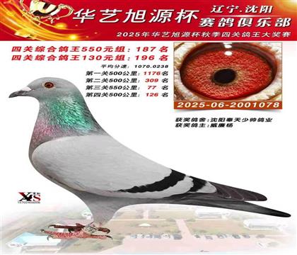 ����������Դ���Ĺظ���187��