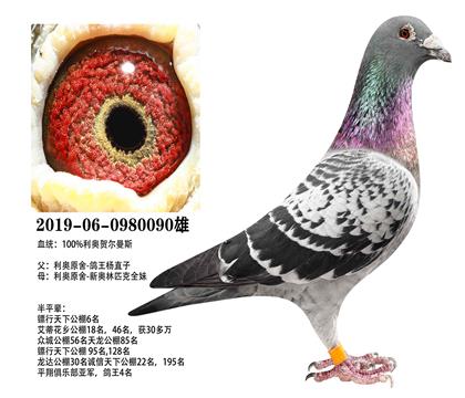 ���£�������ֱ��x�°���ƥȫ��090