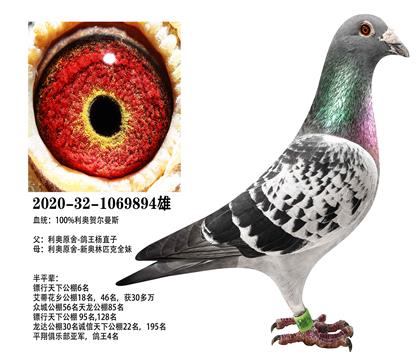 ���£�������ֱ��x�°���ƥȫ��894