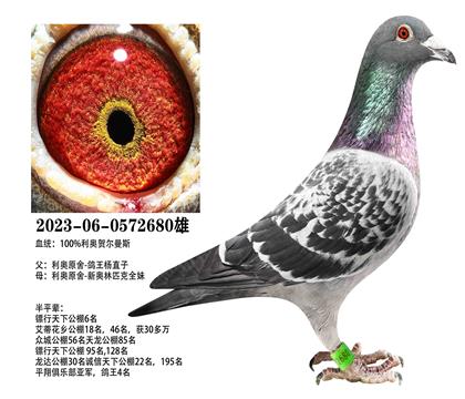 ���£�������ֱ��x�°���ƥȫ��680