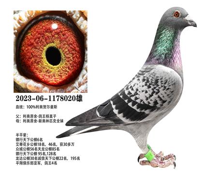 ���£�������ֱ��x�°���ƥȫ��020