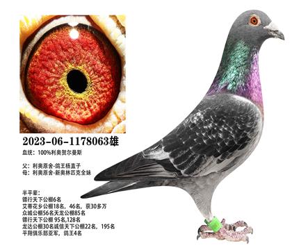 ���£�������ֱ��x�°���ƥȫ��063