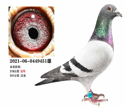 �ھ�������