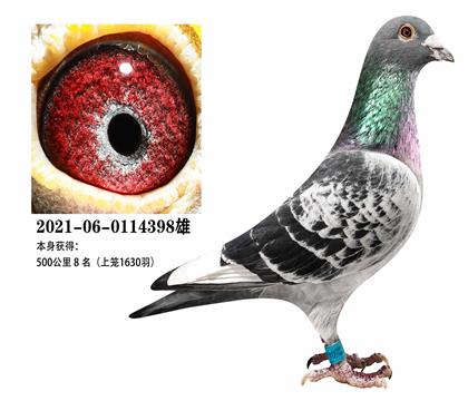 500����8��������