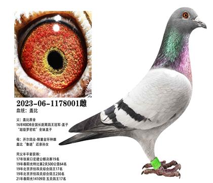 �Ǳȣ�������������x�����𻷸Ǳ�001