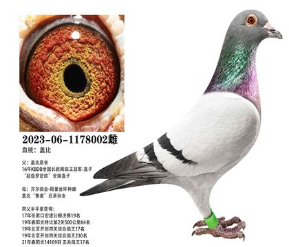 �Ǳȣ�������������x�����𻷸Ǳ�002